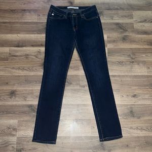 *Host Pick* Big Star 1974 Jealousy Skinny Jeans Size 28R